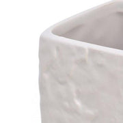 Blackbisch -Bürsten der Petra Bianco -Serie