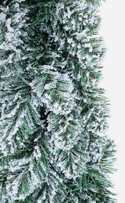 6x Crown Innsbruck Snowy D60