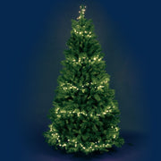 Minicluster 1000 Heiße weiße LED 20,5m