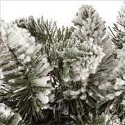 6x Festone Oregon H180