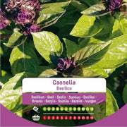 Zimtbasilikumsamen auf der Tasche