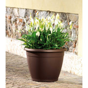 Naxos Diamètre 20cm Jar Havane