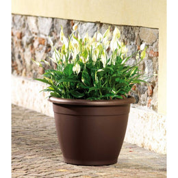 Naxos Diamètre 20cm Jar Havane