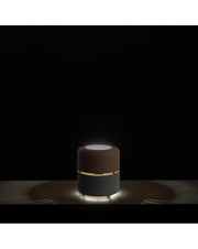 STS Pink- und Grauhydra -Tischlampe