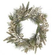 6x Corona Admiral Oro Becche D55