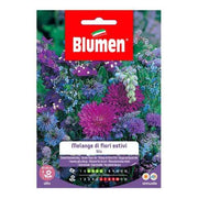 Blaue Sommerblumen Melange