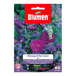 Blaue Sommerblumen Melange