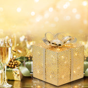 VPM Champ -Geschenkpack. 3aa 13x13xh16,5 cm
 Weihnachtsbeleuchtung