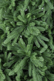 Tirol H240-1270 Zweige Baum