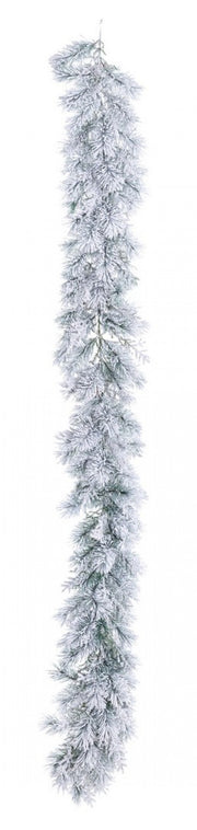 2x Boa Blo Salisburgo H270