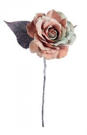 12x rosa Rosenorange/grünes Colin