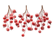 Outdoor Hook Ghirl. Bacche x