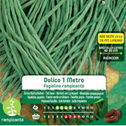 Dolcean Dolice Kletterfagiolino -Samen 1 Meter in Maxi -Umschlag