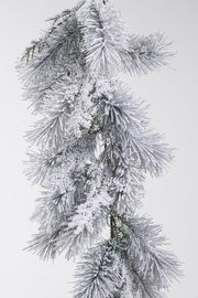 2x Boa Blo Salisburgo H270