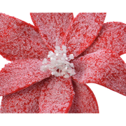 Hochschnee Weihnachtsblumen Ø29 cm