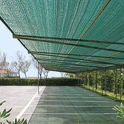 Schattenkraftgrünblatt 1x 25 Meter