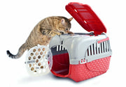 Carrio Tour Bordeaux CM.52x33 - Ideal für kleine Hunde, Katzen und Kaninchen