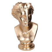 Harzbrücken Goldharz CM35,8x36H58