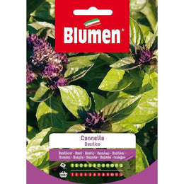 Zimtbasilikumsamen auf der Tasche