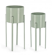 Set2 p.fiore estter zu grüner Salbei