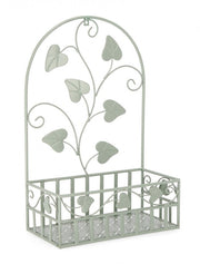 4x P.Fiore Wall Harriet Rett Salvia L.