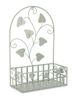 4x P.Fiore Wall Harriet Rett Salvia L.