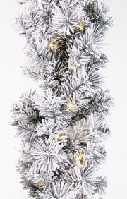 2x Boa Thurn Snowy H270 C.