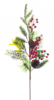 12x Branch Marriel Beeren C.