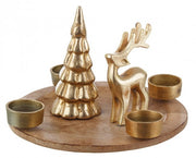 2x P. Candela 4p Gillian zu Nat