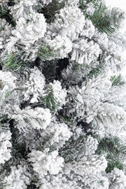 Miletto Inn H240-1493Rami Tree