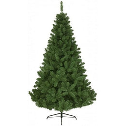 Kaiserliche Weihnachtsbaumhöhe 240 cm