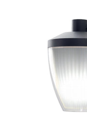 Anwendung am Boden der E27 -Ficus -Grafitinie