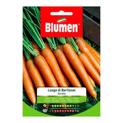 Berlicum lange Karottensamen in der Tasche