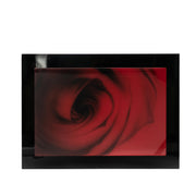 Dekorative Panel mit weißem Holz Finish 80x110x4 cm