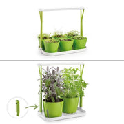 Sense Innengemüsegarten mit LED -Licht