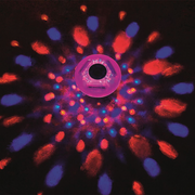 Multicolor-LED-Leuchten für Lay-Z-Spa