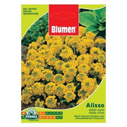 Sachet mit gelben Alisso Samen Zwerg Cesto aus Gold