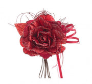 12x Red Rosa pick rot