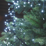 Kalte weiße Kette LED 1100 Miniled 11,5 m