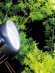 6W LED Spotlight 4000k Black Fox Line