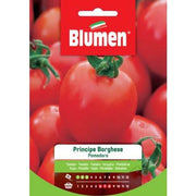 Borghese Borghese Tomatensamen Blumen