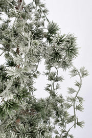 Pino Collalto Snowburn H120