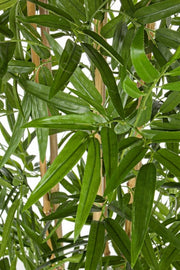 Pflanzendekorationshause in Bambus mit 185 -stündiger CM -Topf