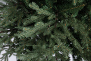 Denalbaum H210-4278 Zweige