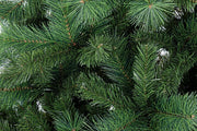 Cermis H270-1746Rami Tree
