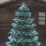 Kalte weiße Kette LED 1100 Miniled 11,5 m