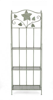 4p Harriet Salvia Regal